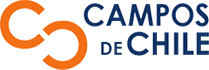 Campos de Chile